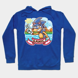 Cartoon Retro Hedgehog Hoodie